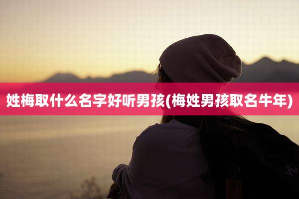 姓梅取什么名字好听男孩(梅姓男孩取名牛年)