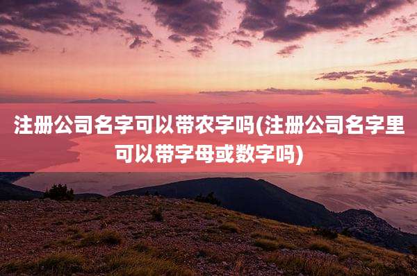 注册公司名字可以带农字吗(注册公司名字里可以带字母或数字吗)