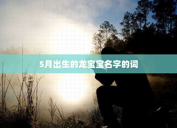5月出生的龙宝宝名字的词