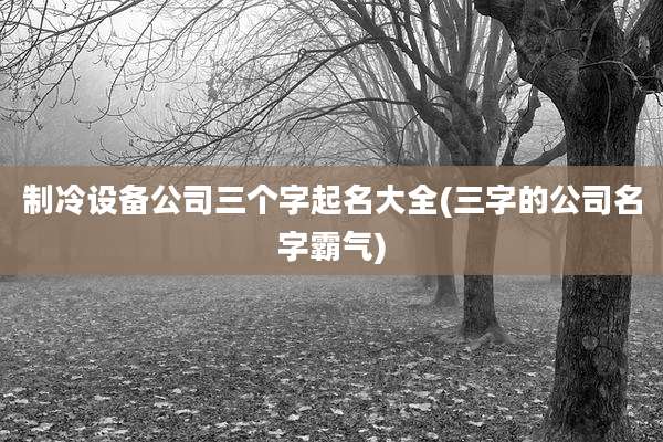 制冷设备公司三个字起名大全(三字的公司名字霸气)