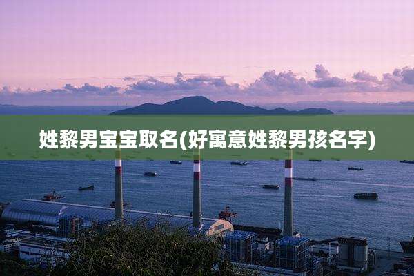 姓黎男宝宝取名(好寓意姓黎男孩名字)
