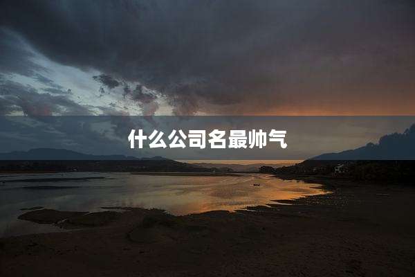 什么公司名最帅气