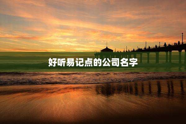 好听易记点的公司名字