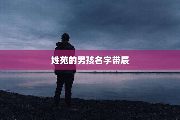 姓苑的男孩名字带辰