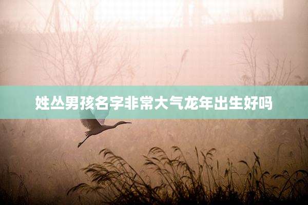 姓丛男孩名字非常大气龙年出生好吗