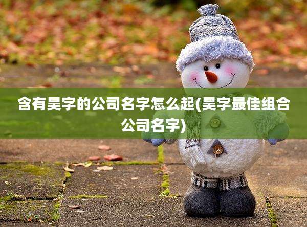含有昊字的公司名字怎么起(昊字最佳组合公司名字)