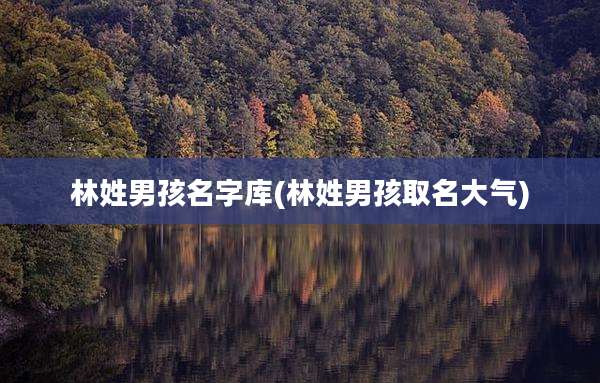 林姓男孩名字库(林姓男孩取名大气)