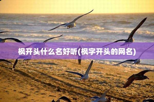 枫开头什么名好听(枫字开头的网名)