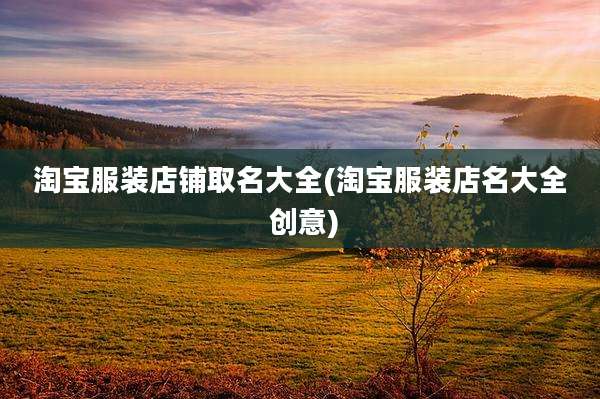 淘宝服装店铺取名大全(淘宝服装店名大全 创意)
