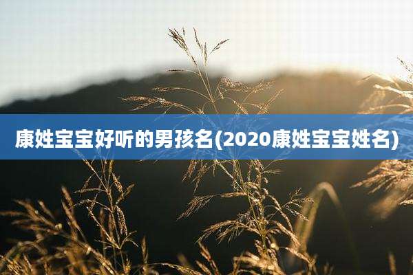 康姓宝宝好听的男孩名(2020康姓宝宝姓名)