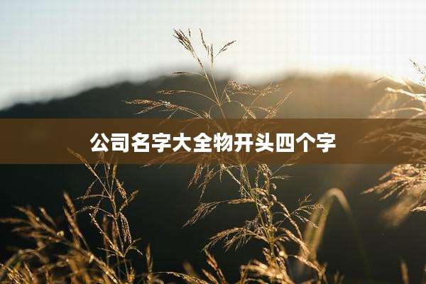 公司名字大全物开头四个字