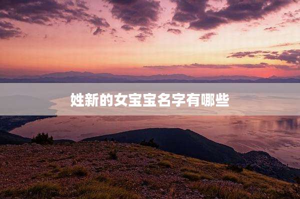 姓新的女宝宝名字有哪些