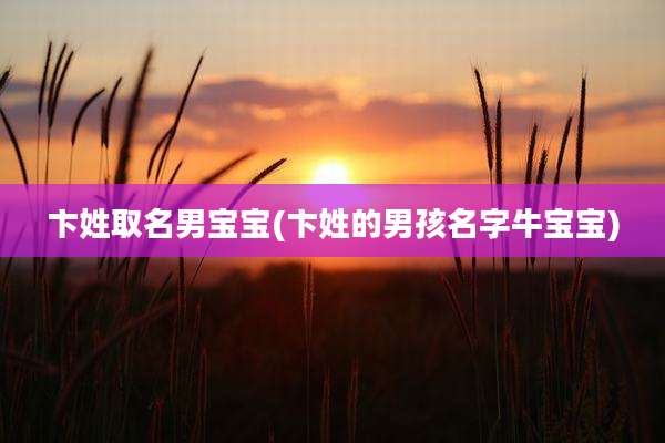 卞姓取名男宝宝(卞姓的男孩名字牛宝宝)