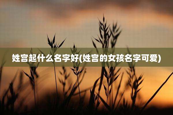 姓宫起什么名字好(姓宫的女孩名字可爱)