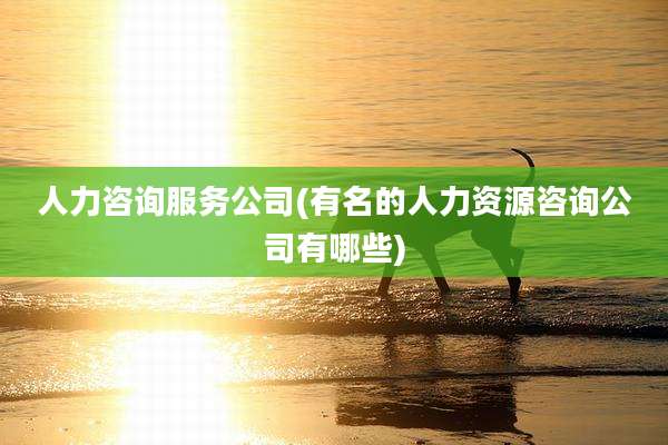 人力咨询服务公司(有名的人力资源咨询公司有哪些)