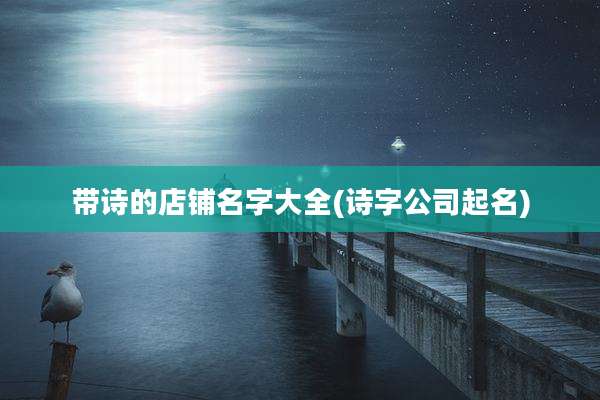 带诗的店铺名字大全(诗字公司起名)