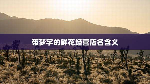 带梦字的鲜花经营店名含义
