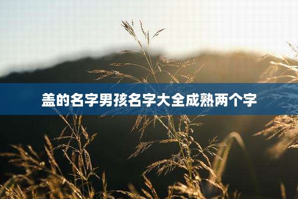 盖的名字男孩名字大全成熟两个字