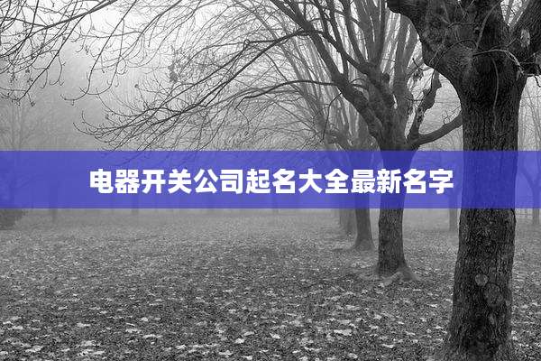 电器开关公司起名大全最新名字