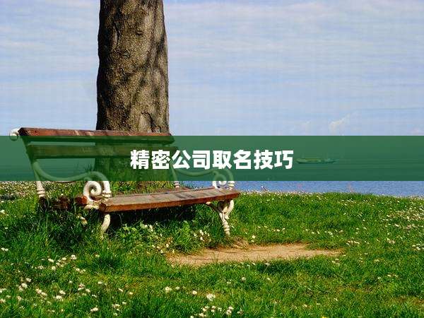 精密公司取名技巧