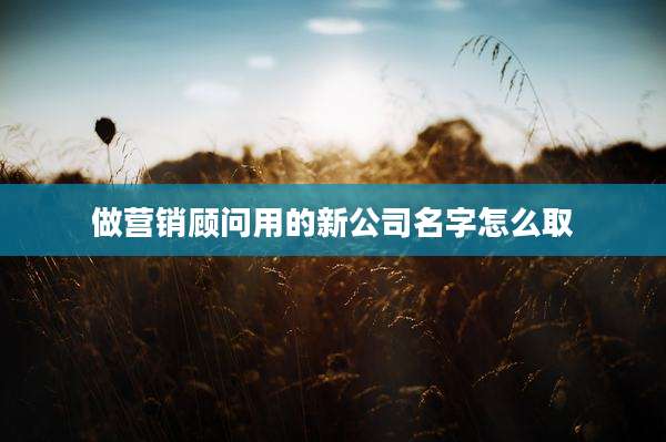做营销顾问用的新公司名字怎么取
