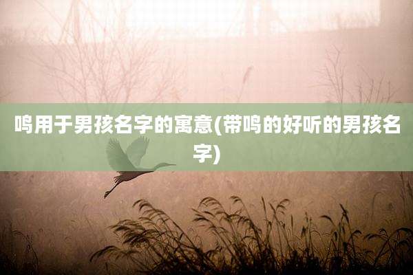 鸣用于男孩名字的寓意(带鸣的好听的男孩名字)