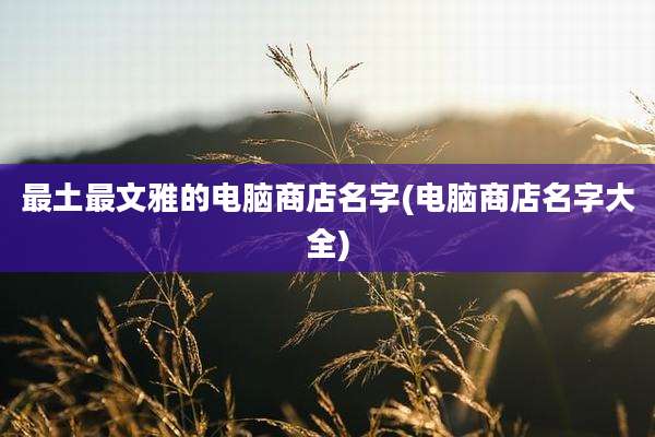 最土最文雅的电脑商店名字(电脑商店名字大全)