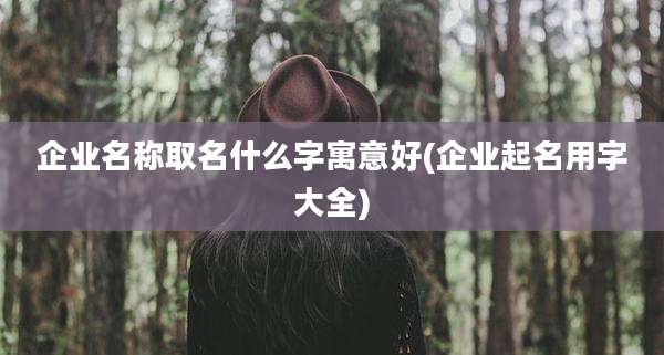 企业名称取名什么字寓意好(企业起名用字大全)
