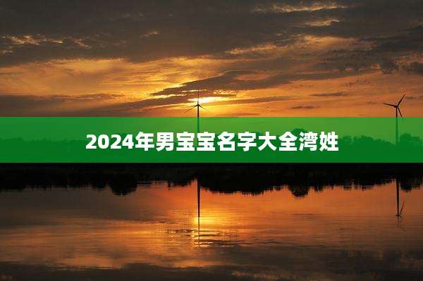 2024年男宝宝名字大全湾姓