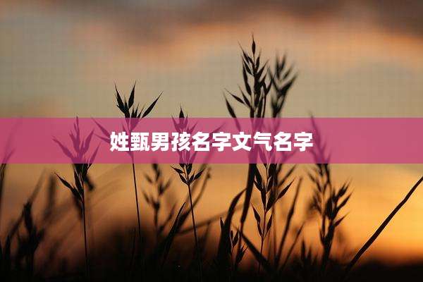 姓甄男孩名字文气名字