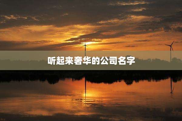 听起来奢华的公司名字