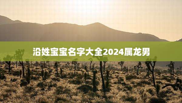 沿姓宝宝名字大全2024属龙男