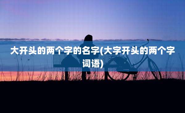 大开头的两个字的名字(大字开头的两个字词语)