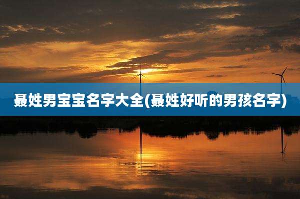 聂姓男宝宝名字大全(聂姓好听的男孩名字)