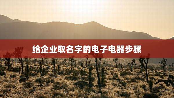 给企业取名字的电子电器步骤