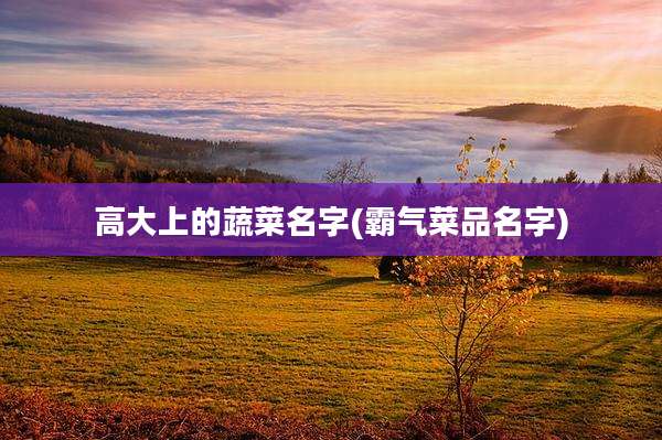 高大上的蔬菜名字(霸气菜品名字)