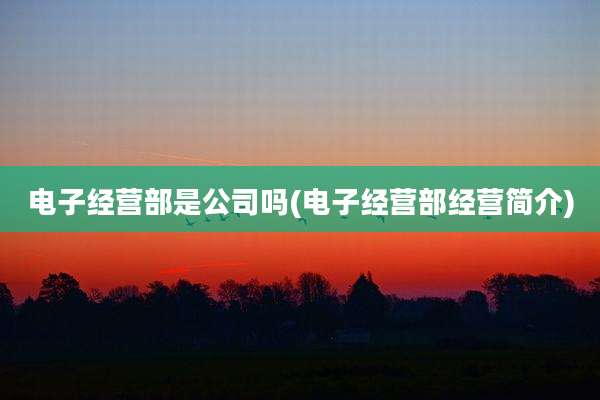 电子经营部是公司吗(电子经营部经营简介)