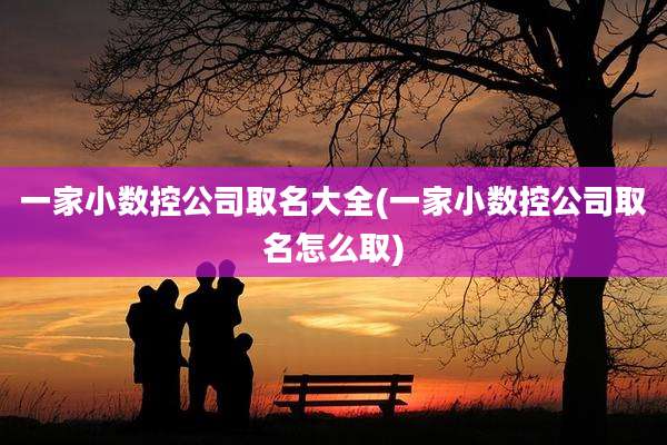 一家小数控公司取名大全(一家小数控公司取名怎么取)
