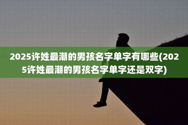 2025许姓最潮的男孩名字单字有哪些(2025许姓最潮的男孩名字单字还是双字)
