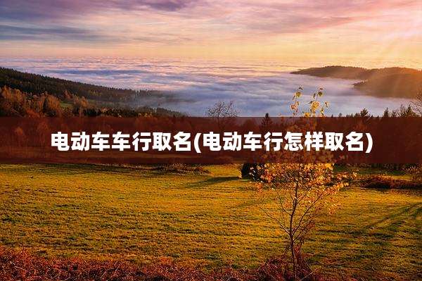 电动车车行取名(电动车行怎样取名)