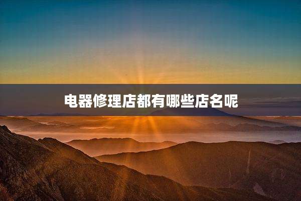 电器修理店都有哪些店名呢