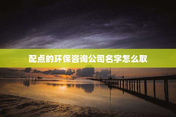 配点的环保咨询公司名字怎么取