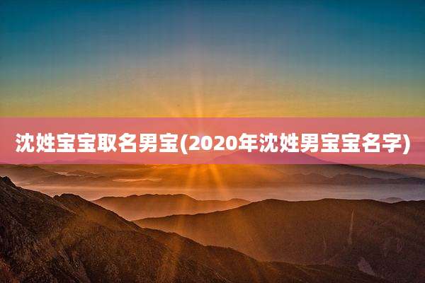 沈姓宝宝取名男宝(2020年沈姓男宝宝名字)