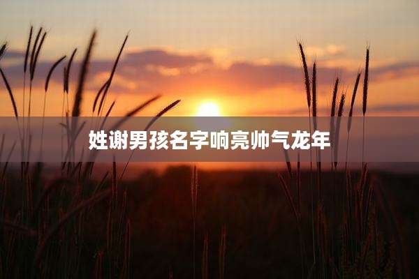 姓谢男孩名字响亮帅气龙年