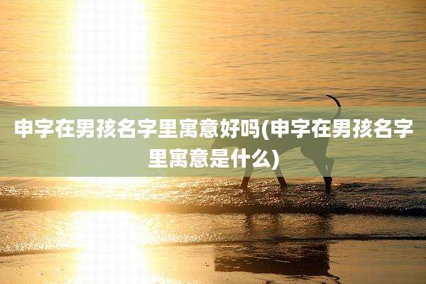 申字在男孩名字里寓意好吗(申字在男孩名字里寓意是什么)