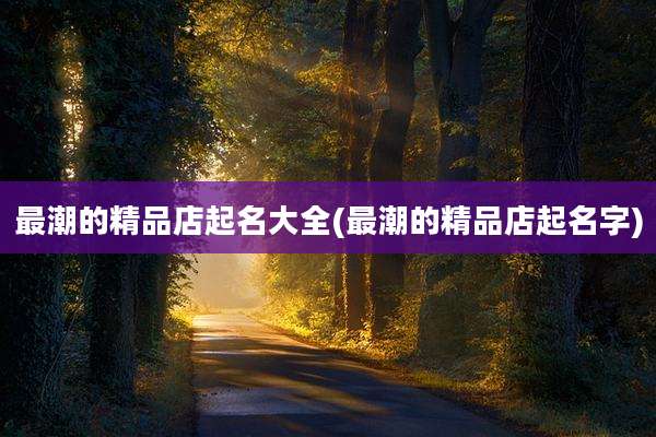 最潮的精品店起名大全(最潮的精品店起名字)