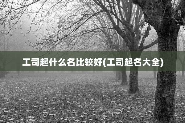 工司起什么名比较好(工司起名大全)