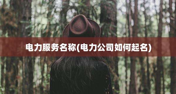 电力服务名称(电力公司如何起名)