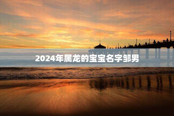 2024年属龙的宝宝名字邹男