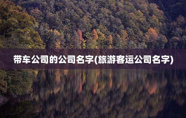 带车公司的公司名字(旅游客运公司名字)